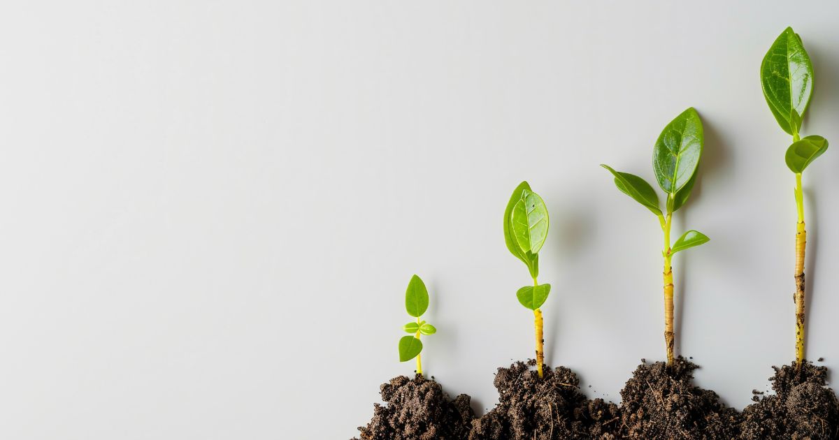 Como validar sua ideia de negócio antes de investir dinheiro